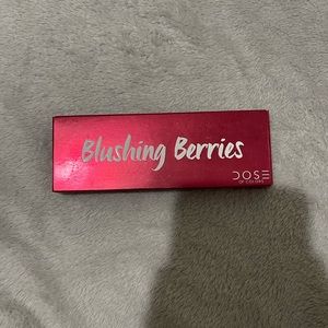 Blushing Berries Eyeshadow palette